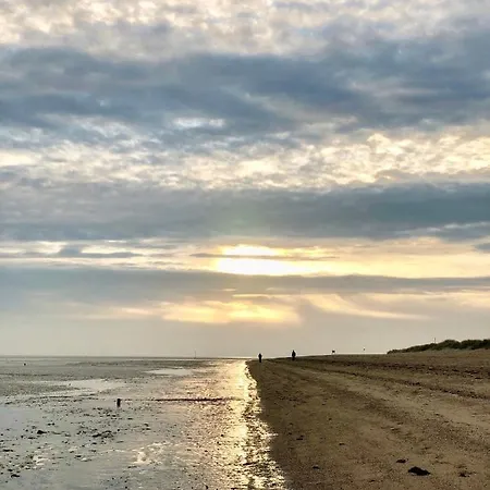 49 0 M Ankerplatz Apartment Schillig